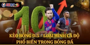 Kèo Bóng 0.5 - Loại Hình Cá Độ Phổ Biến Trong Bóng Đá